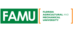 Florida A&M University Online MSN: Women's Health